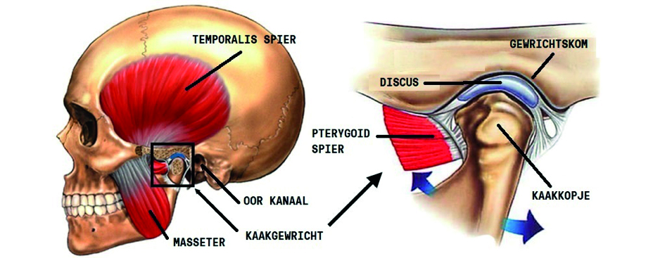 Kaakgewrichtsbehandeling